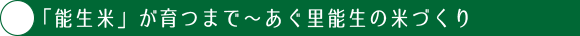 「能生米」が育つまで〜あぐ里能生の米づくり