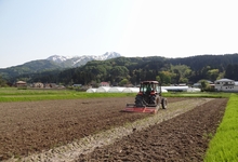 田植え前の作業（田打ち・代かき）