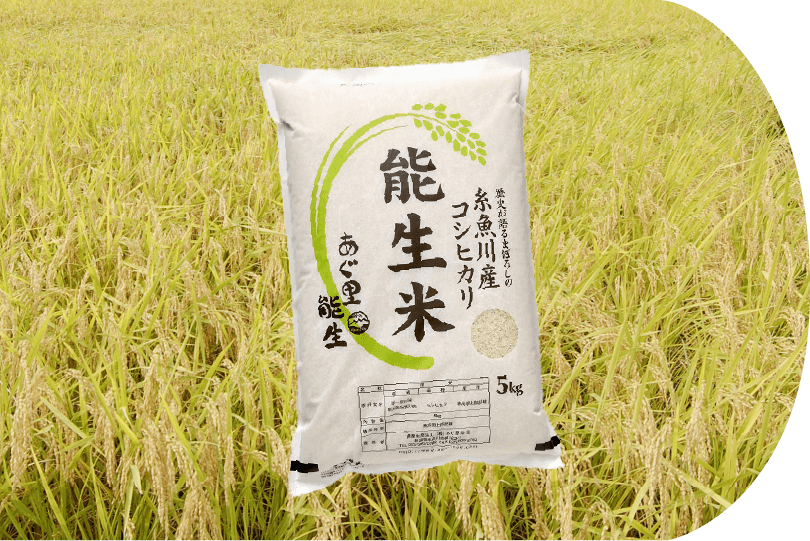 糸魚川産コシヒカリ能生米　