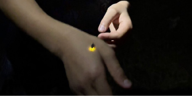 人と里と自然の調和を目指した米づくり