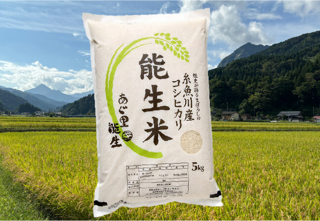 コシヒカリ「能生米」