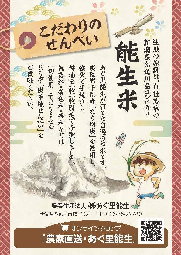 せんべいチラシ